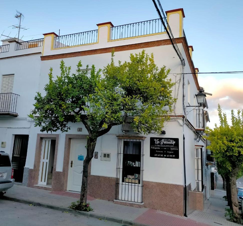 Jacaranda Villa Prado Del Rey Exterior foto
